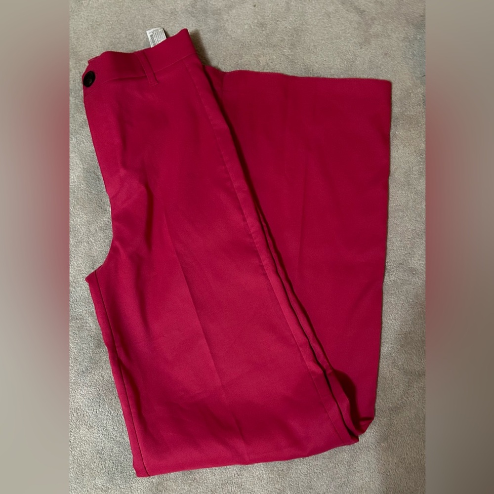 Pink ZARA pants XS